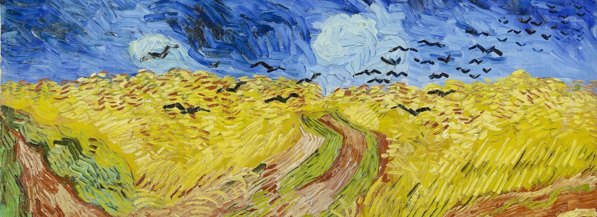 korenveld-met-kraaien