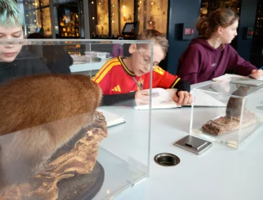 IMG 20260207 133206341