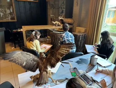 Whats App Image 2026 02 11 at 15 06 14