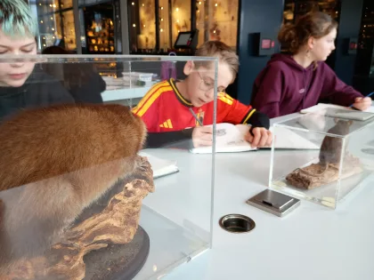 IMG 20260207 133206341