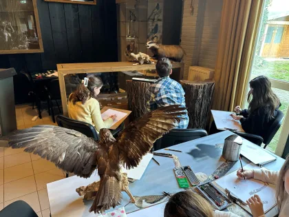 Whats App Image 2026 02 11 at 15 06 14