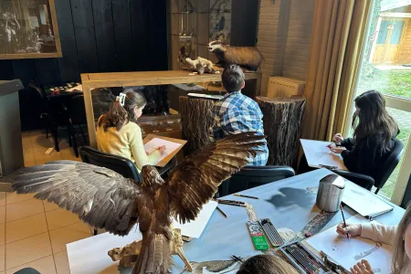 Whats App Image 2026 02 11 at 15 06 14