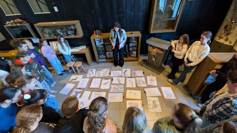 Whats App Image 2026 02 11 at 15 06 14 1