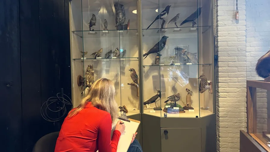 Whats App Image 2026 02 11 at 15 06 13